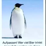 @andre_weideman23 - Instagram