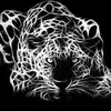 Andre Weiland633 - @andreweiland633 - TikTok