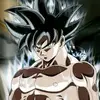 andreweilandt859 - @andreweilandt859 - TikTok