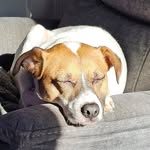 Andrew Reinstein - @andrewdreinstein - Instagram