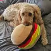 Andrew Weinstein - @andrew.weinstein4 - TikTok