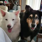 Andrew Eisenhauer - Facebook
