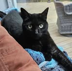 Andrew Eisenhauer - Facebook