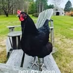 Andrew Eldridge - Facebook