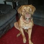 Andrew Eley - @eley_a - Instagram