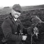 Andrew Ellis - @andrew_ellis_artist - Instagram