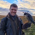 Andrew Ellis Art - @andrewellisart - Instagram