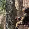 Andrew Kellner - @andrew.kellner - TikTok