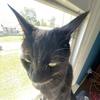 user2694654068316 - @andrew.emory1 - TikTok