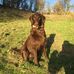 Andrew Empson - Facebook