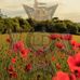 Andrew Enright - Facebook