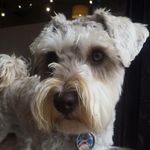 Andrew Epstein - @irving.finkel - Instagram