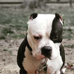 Andrew Epstein - @epstein86 - Instagram