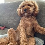 Andrew Epstein - @epstein_andrew - Instagram