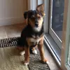 andrewepstein529 - @andrewepstein529 - TikTok