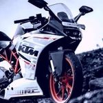 Padu Pandu - @andrew.epstein.315 - Instagram