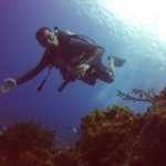 Andrew Errington - @stampedfish - Instagram