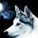 Andrew Estridge - Facebook