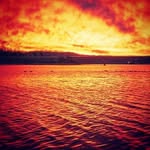 Andrew_Better_Than_U - @andrew_better_then_u - Instagram