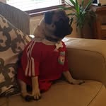 Andrew Fahey - @fahey_andrew - Instagram