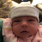 Andrew Fallis - @andrewfallis - Instagram