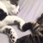 @andrew_fallis_spam - Instagram