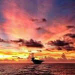 Andrew Fanning - @andrew.fanning - Instagram