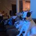 Andrew Feil - Facebook