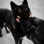 Andrew Fillmore - @andrew__fill - Instagram