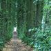 Andrew Flannery - Facebook