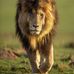 Andrew Flohr - Facebook