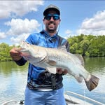 Andrew Forte - @andrew.forte.752 - Instagram