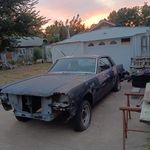 Andrew Fortney - @turtle.167773 - Instagram
