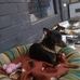 Andrew Frampton - Facebook