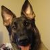Andrew Frampton - Facebook