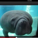 Andrew Fredericks - @fluorescent_manatee - Instagram