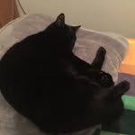 Andrew Freestone - @andrew12345262019 - Instagram