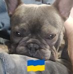 Andrew Friend - Facebook