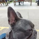 Andrew Friend - @andy.friend.92 - Instagram