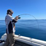 Andrew Gaffney - @harsh.gaffney - Instagram