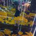 Andrew Gamboa - Facebook