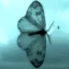 Andrew Gamboa - @andrew.gamboa21 - TikTok