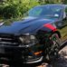 Andrew Yang’s Mustang Gang - Facebook