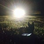 Andrew Garrison - @andrew.garrison.75 - Instagram