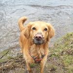 Andrew Gauld - @andrew.gauld.35 - Instagram
