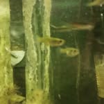 Andrew D Gault - @andrew_gault_ - Instagram