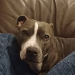 Andrew Gelder - Facebook