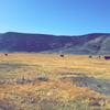 Andrew Giddens - @ranchcowboy101 - TikTok