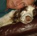 Andy Gilson - Facebook