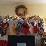 Andrew N Lana Glasco - @andrewnlana - Instagram